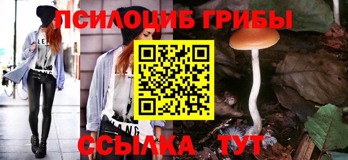 Псилоцибиновые грибы мицелий  Галлюциногенные грибы Magic Shrooms  Вход с VPN  Богданович 